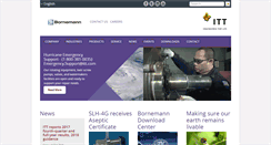 Desktop Screenshot of bornemann.com